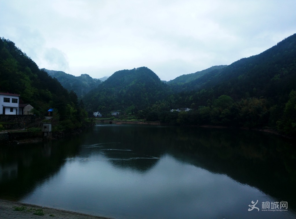 IMG_20150405_092001_.jpg