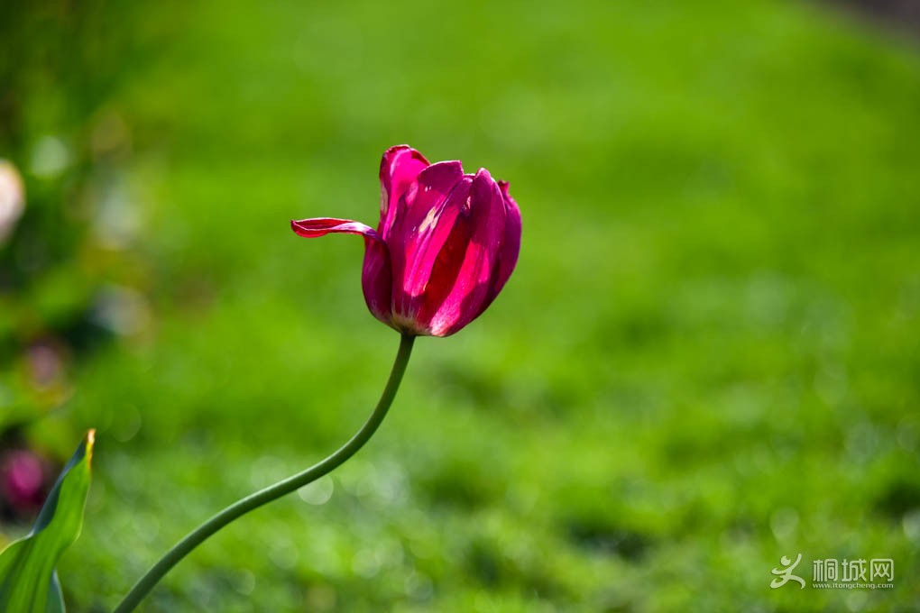 DSC_6497.jpg