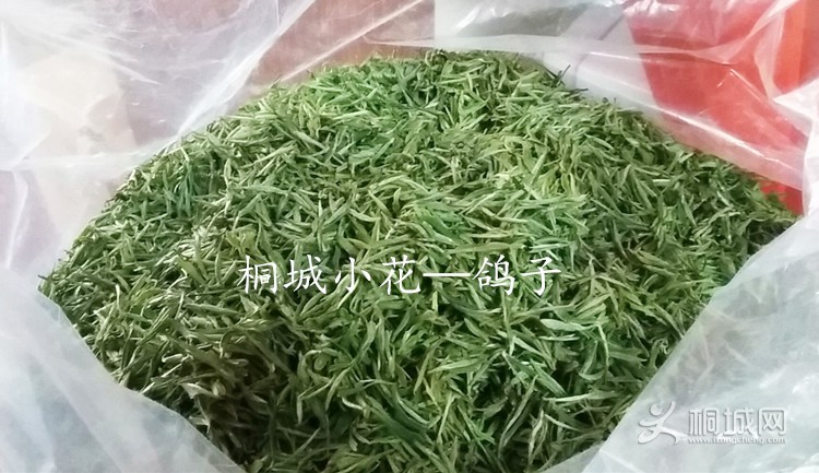QQͼƬ20150413085341.jpg