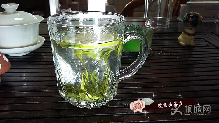 QQͼƬ20150415131355.jpg