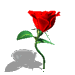 QQͼƬ20140203200632.gif