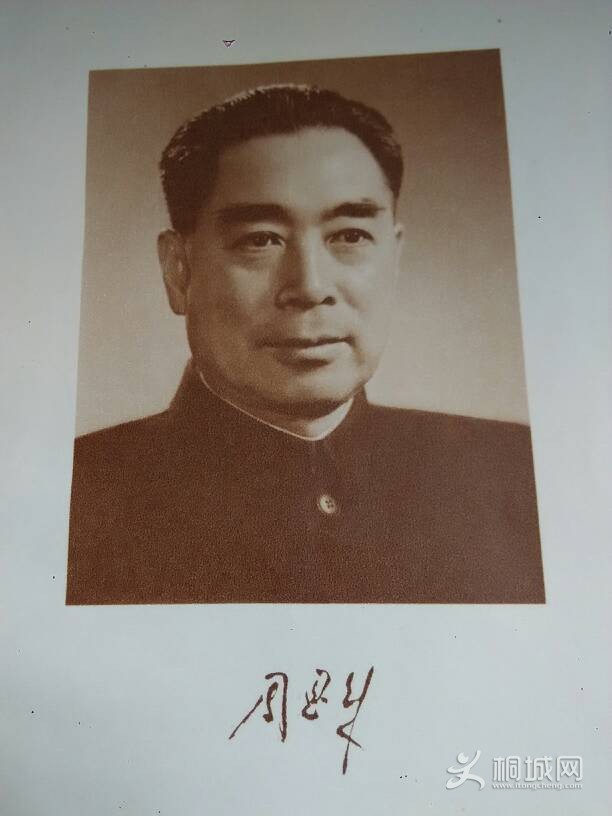 225920kpmf72373lsjtppq.jpg