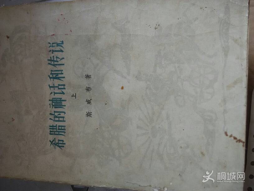 230326vpp32sh39c7sf29u.jpg