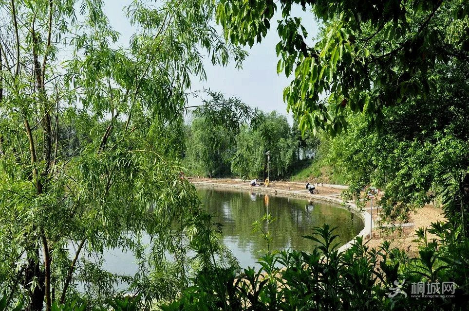 Ӻ01.jpg