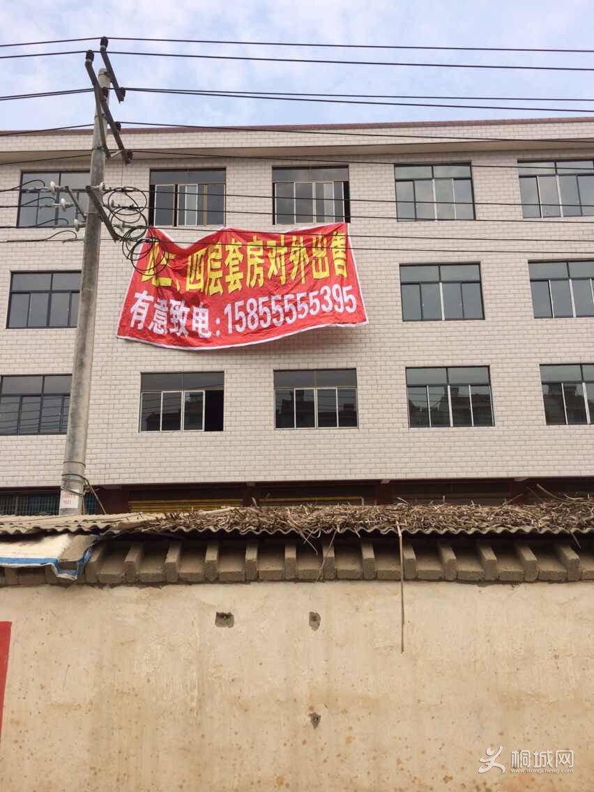 QQͼƬ20150514175528.jpg