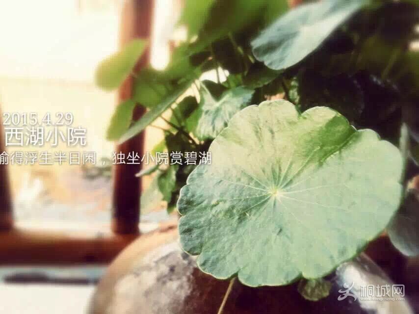 QQͼƬ20150526173120.jpg