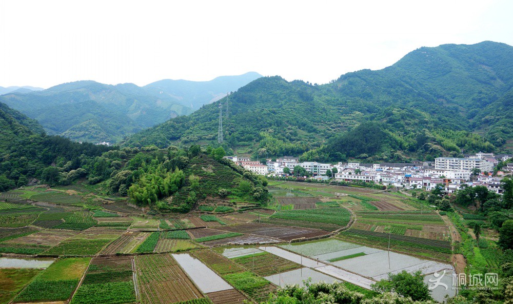 DSC09021_conew1.jpg