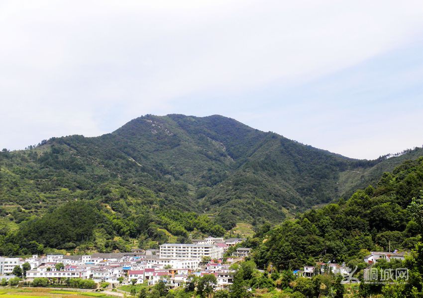 92.jpg