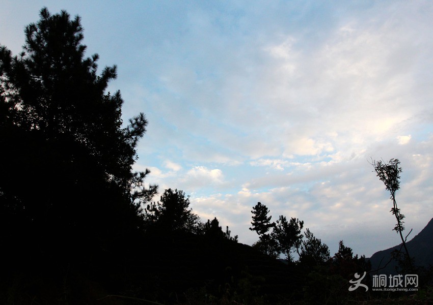 857.jpg