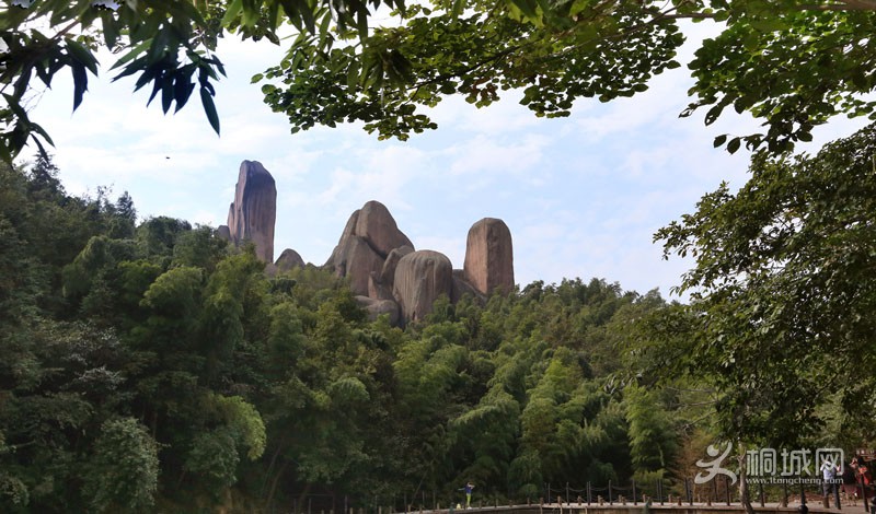 30 IMG_7911ʯ续.JPG