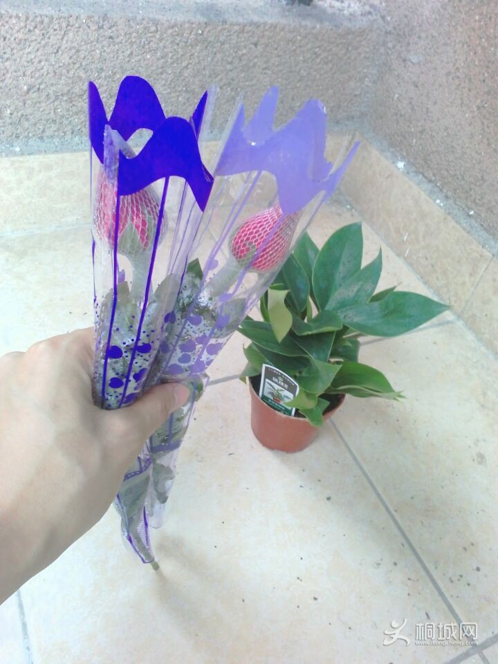 QQͼƬ20150821133848.jpg
