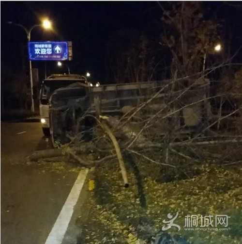 QQͼƬ20151123160925_.jpg