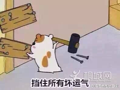 eb5b6484gw1eyki8a4nb8j20az088dg1.jpg