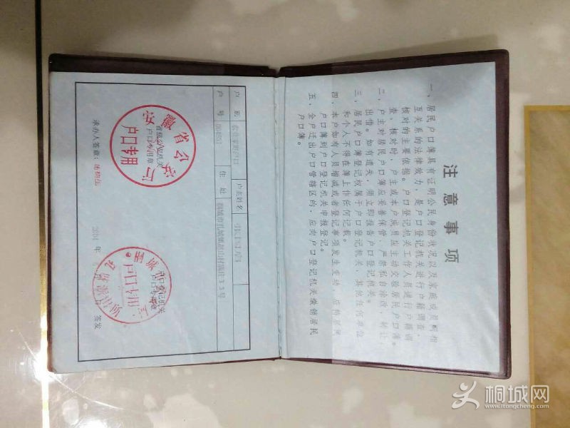 mmexport1450960862734.jpg