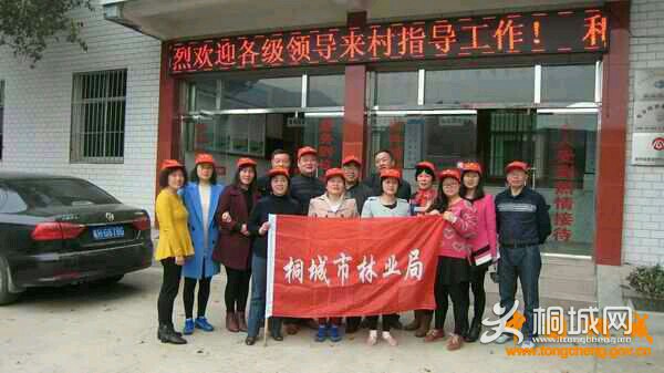 76566cpwp4j9.jpg
