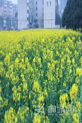 05.jpg