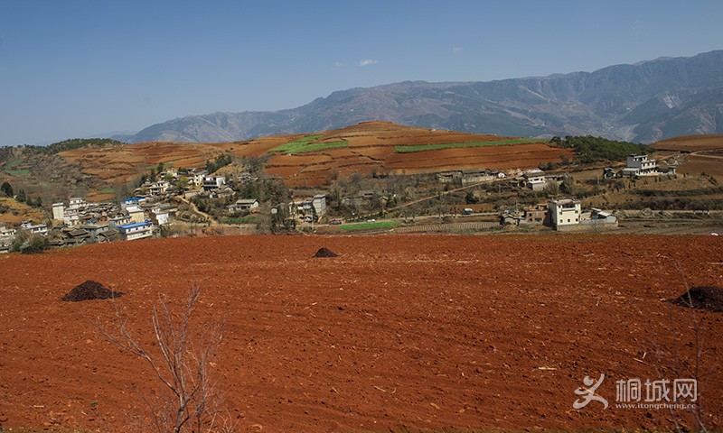 DSC_5118.jpg