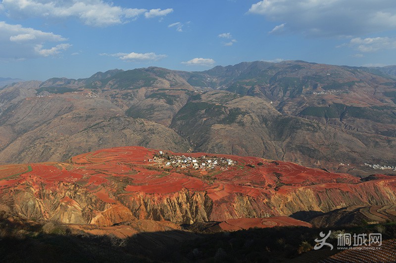 DSC_5232.jpg
