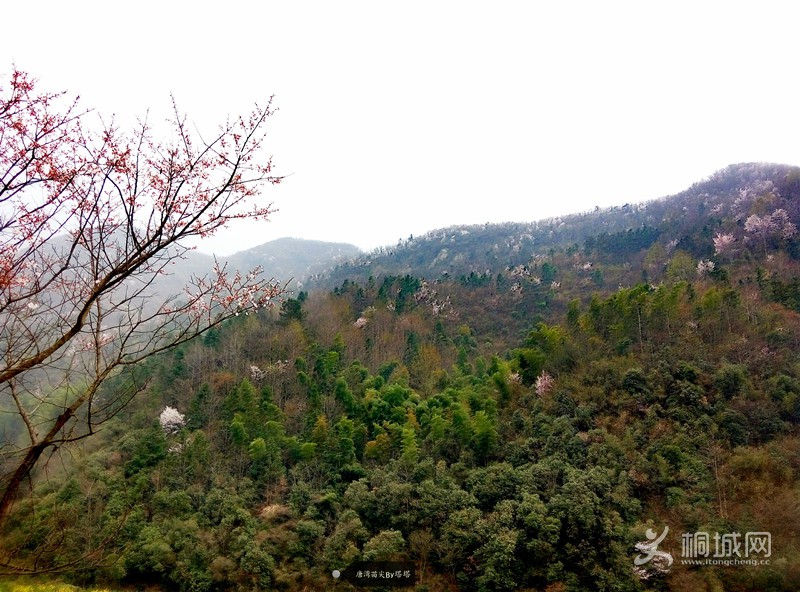 P60319-141524-001_.jpg