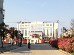 IMG_8463.JPG