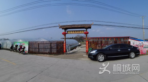 IMG_20160211_143723.jpg