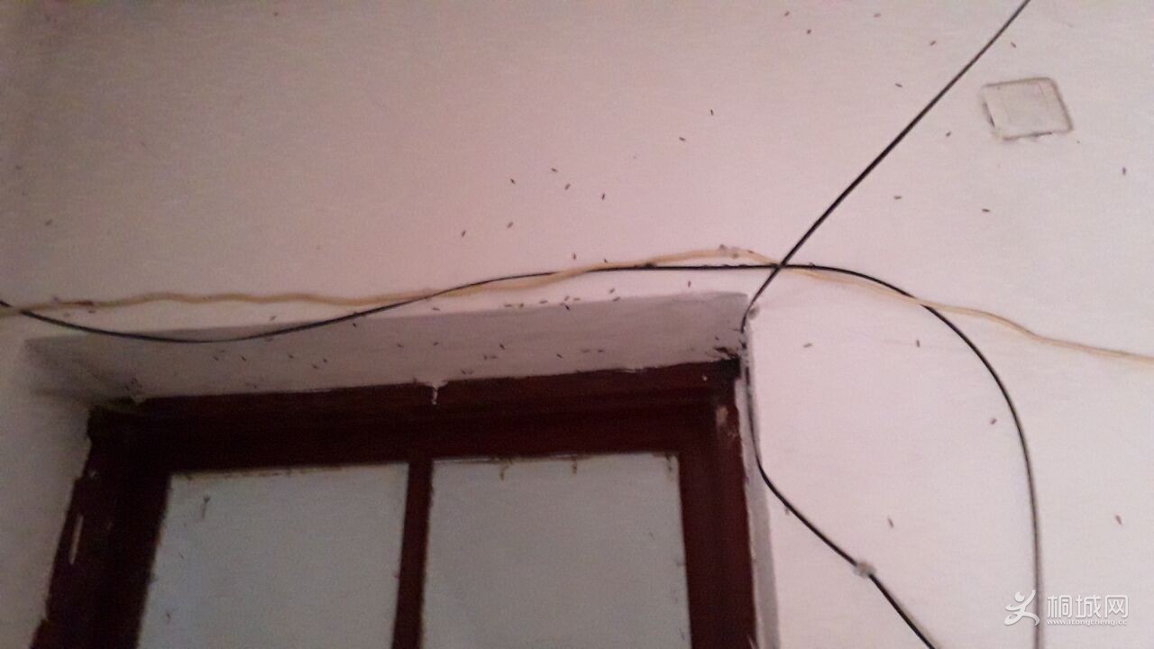 QQͼƬ20160418193948.jpg