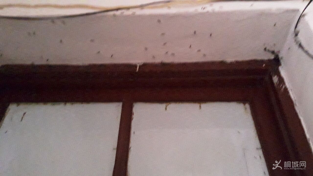 QQͼƬ20160418193941.jpg
