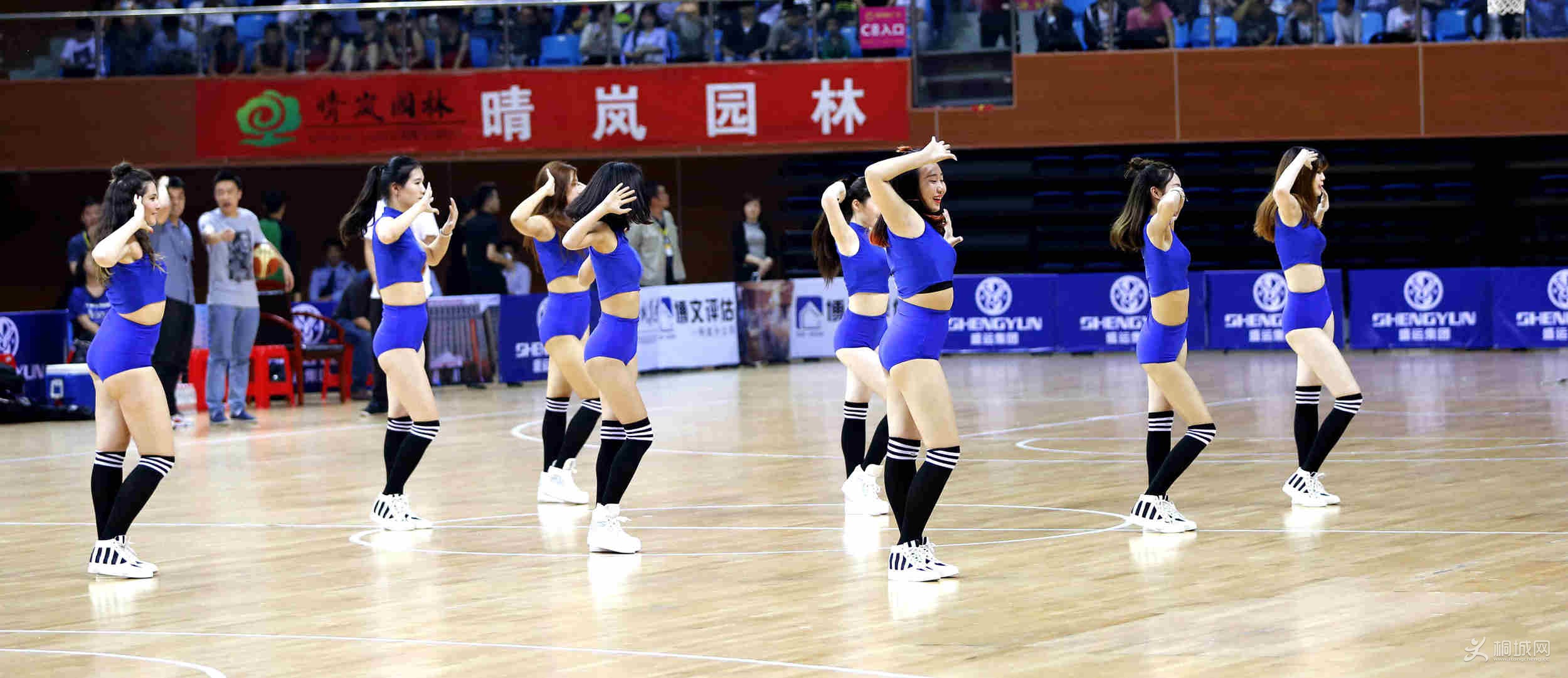 _54A0153_.jpg