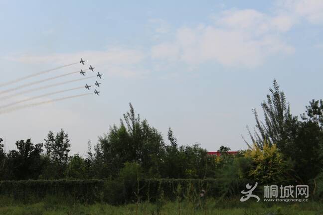 084911zmh36np657c4ohac.JPG