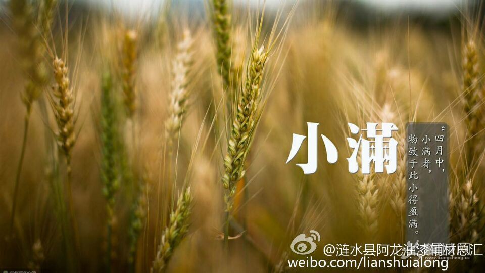 QQͼƬ20160520080904.jpg