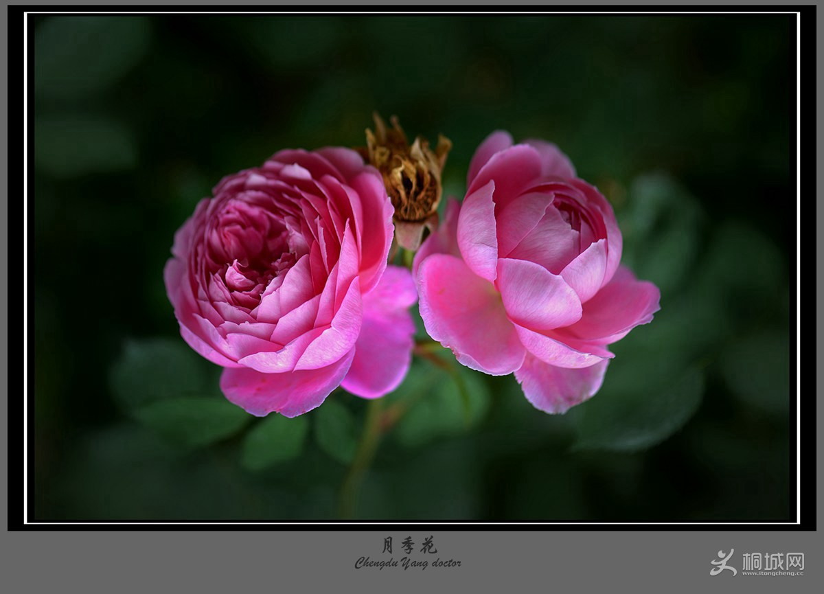 130955vx1ssytu1wuwf7t2.jpg