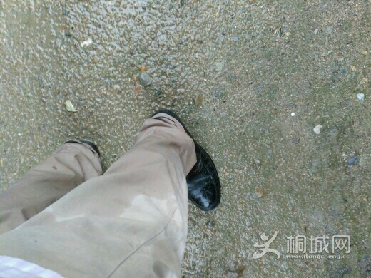 SSH43gWhZ91G.jpg