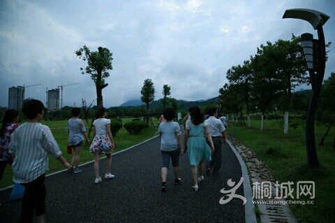 8D12b2F7cd7y.jpg
