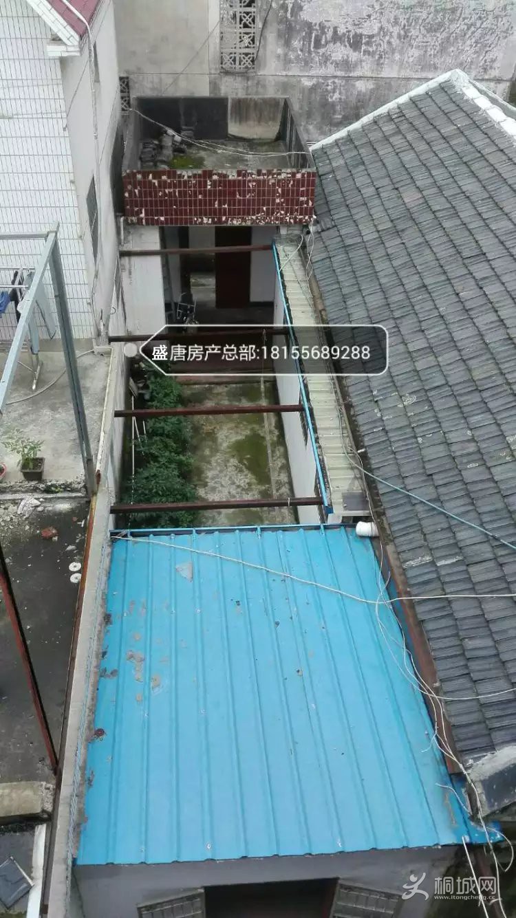 psb (1)����.jpg