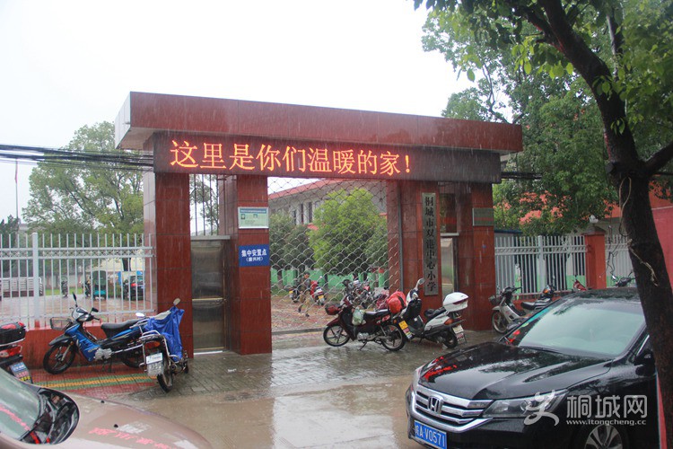 117.jpg