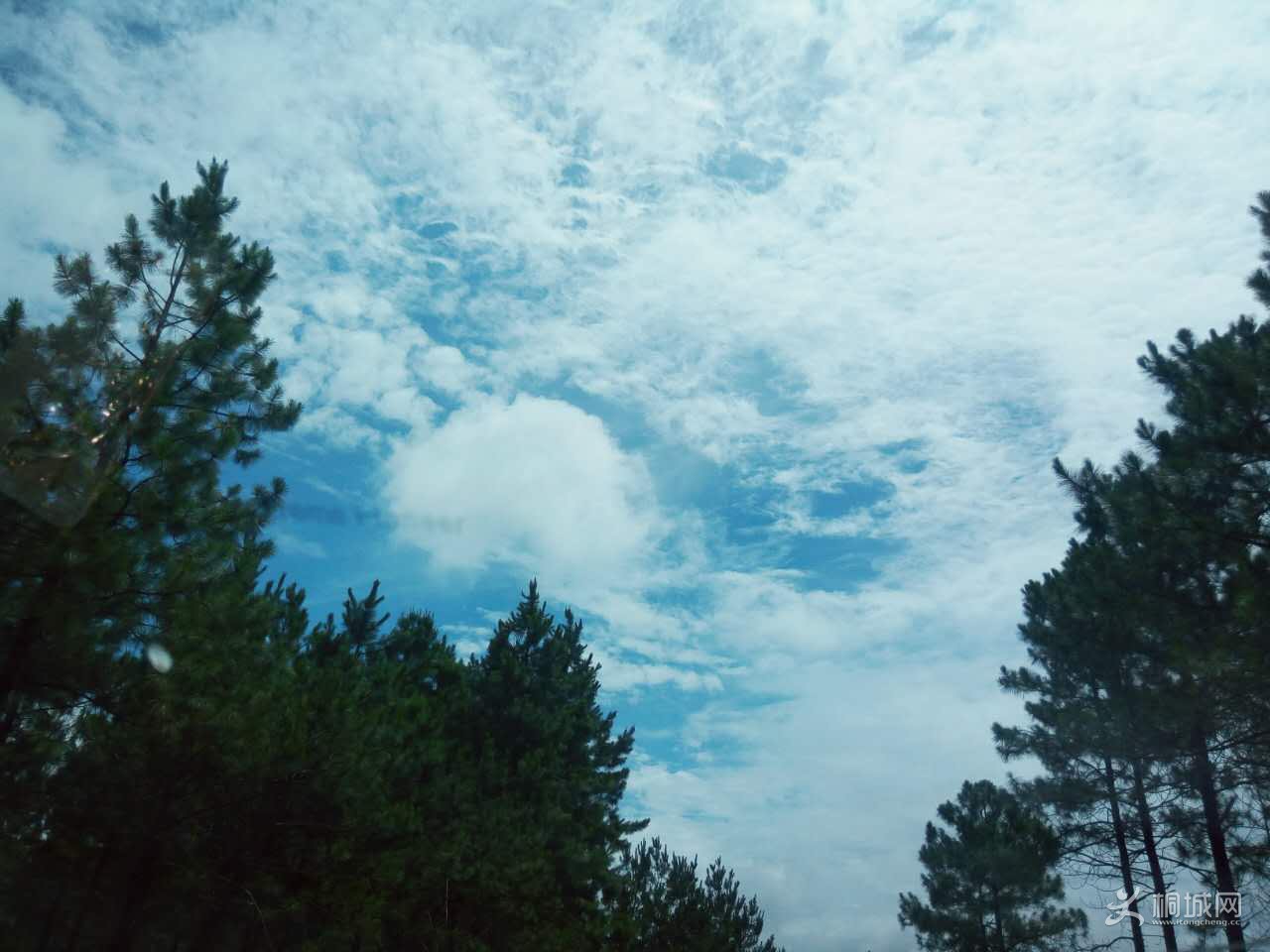 ˮλ3.jpg