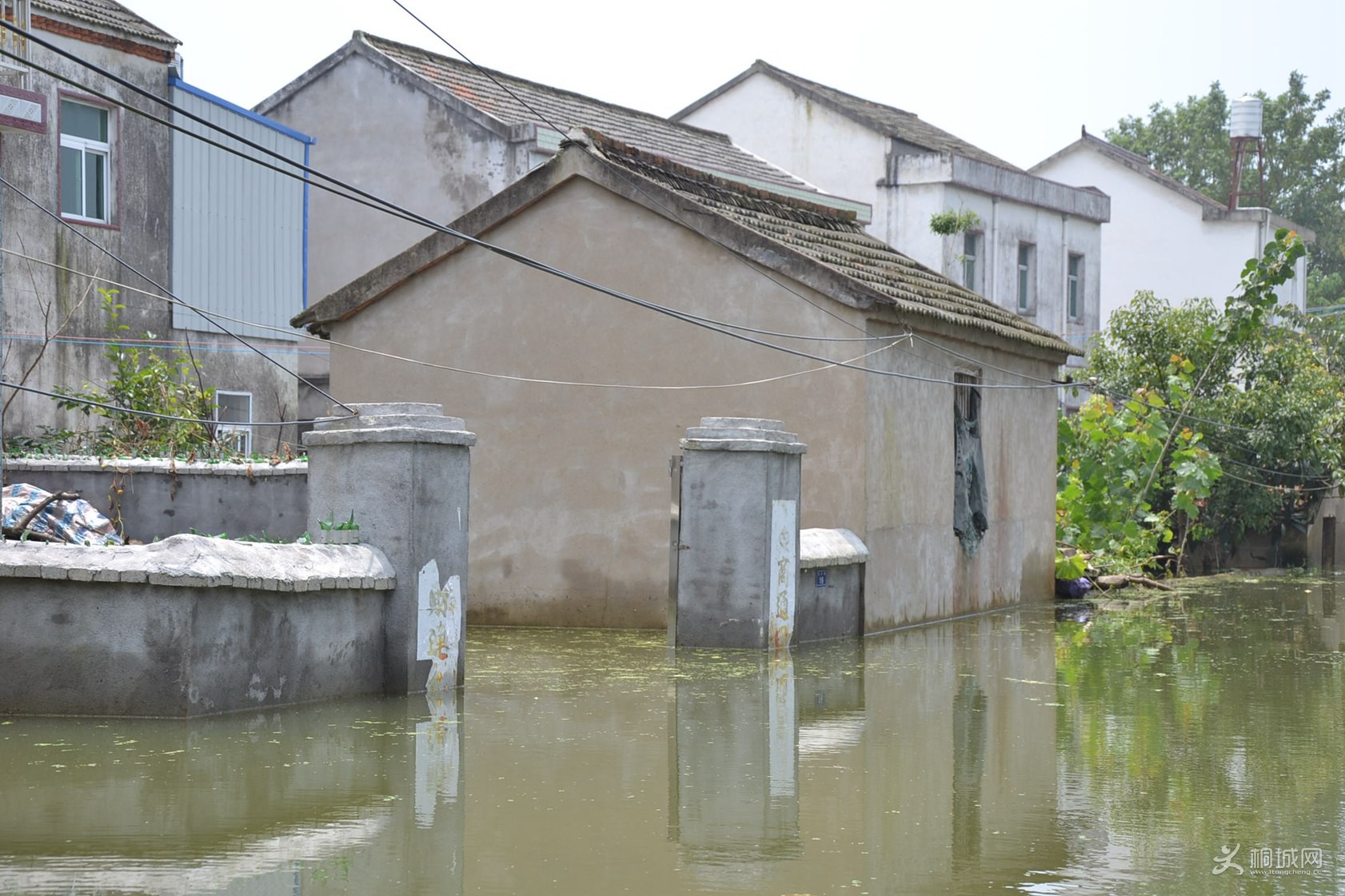 DSC_2004.JPG