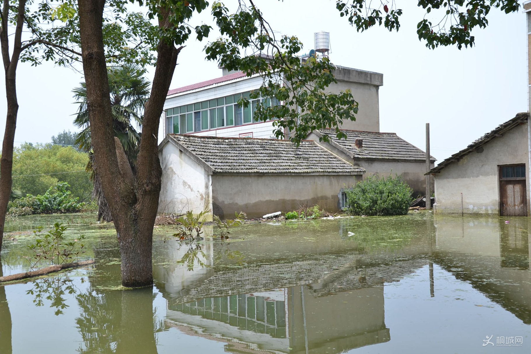 DSC_2006.JPG
