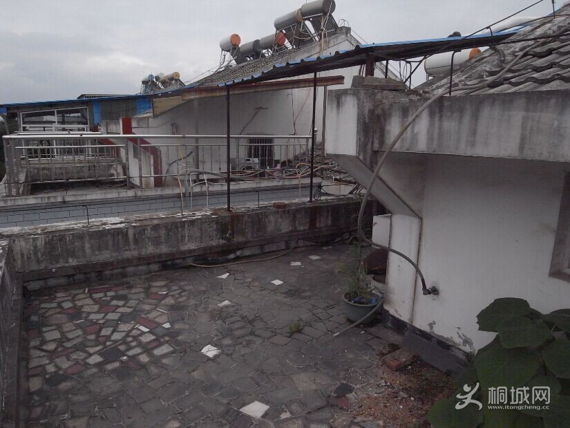 ��¶���Ͽ��Կ���ͩ��������У԰����