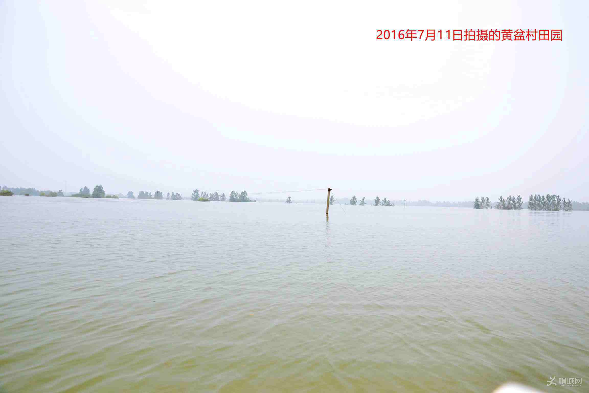DSC_1873___.jpg