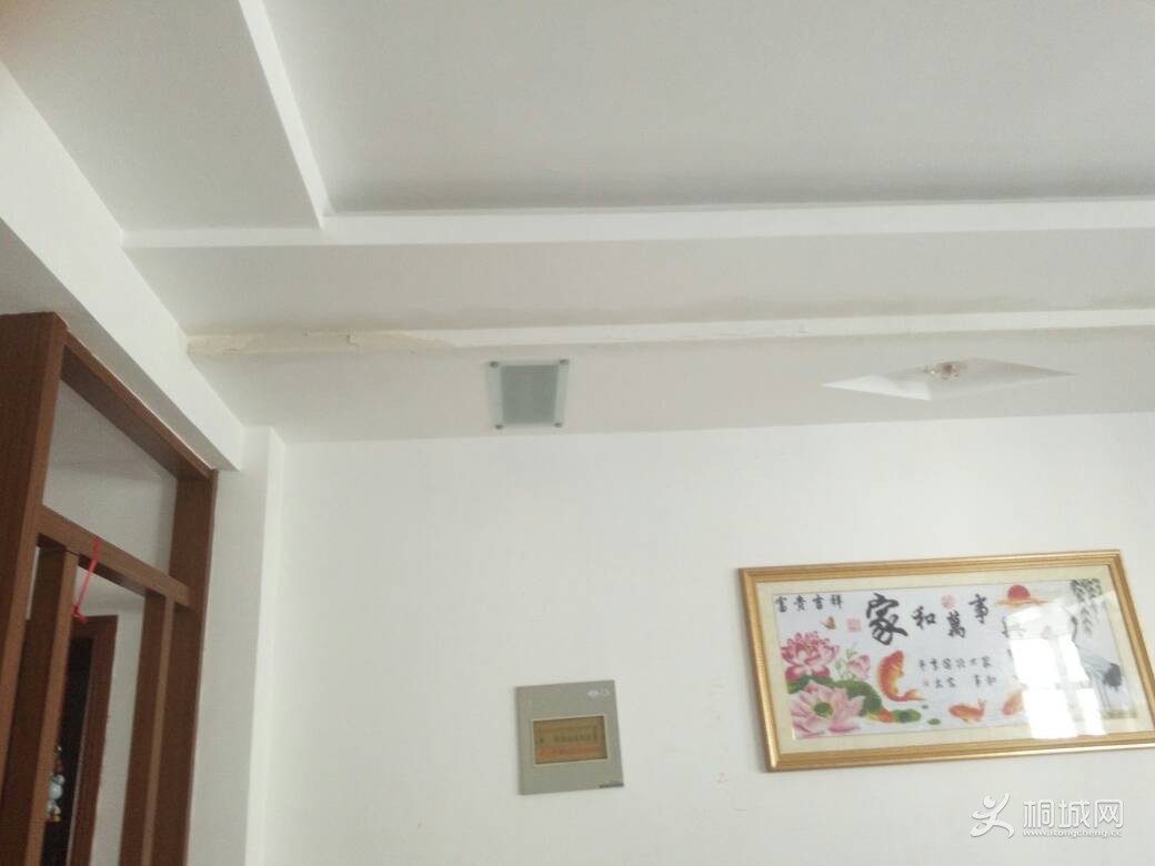 225701khkcb3jck9c8blc6.jpg
