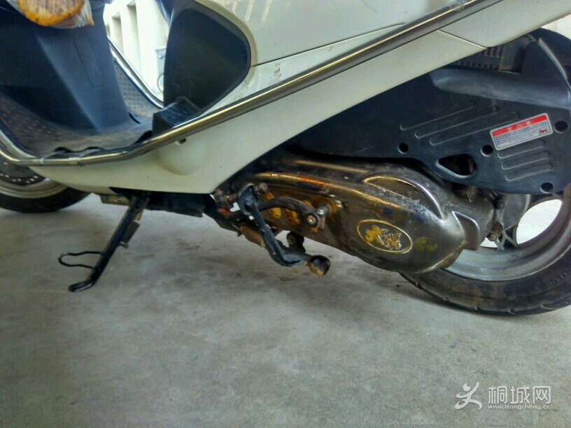 g39r252HJ3hD.jpg