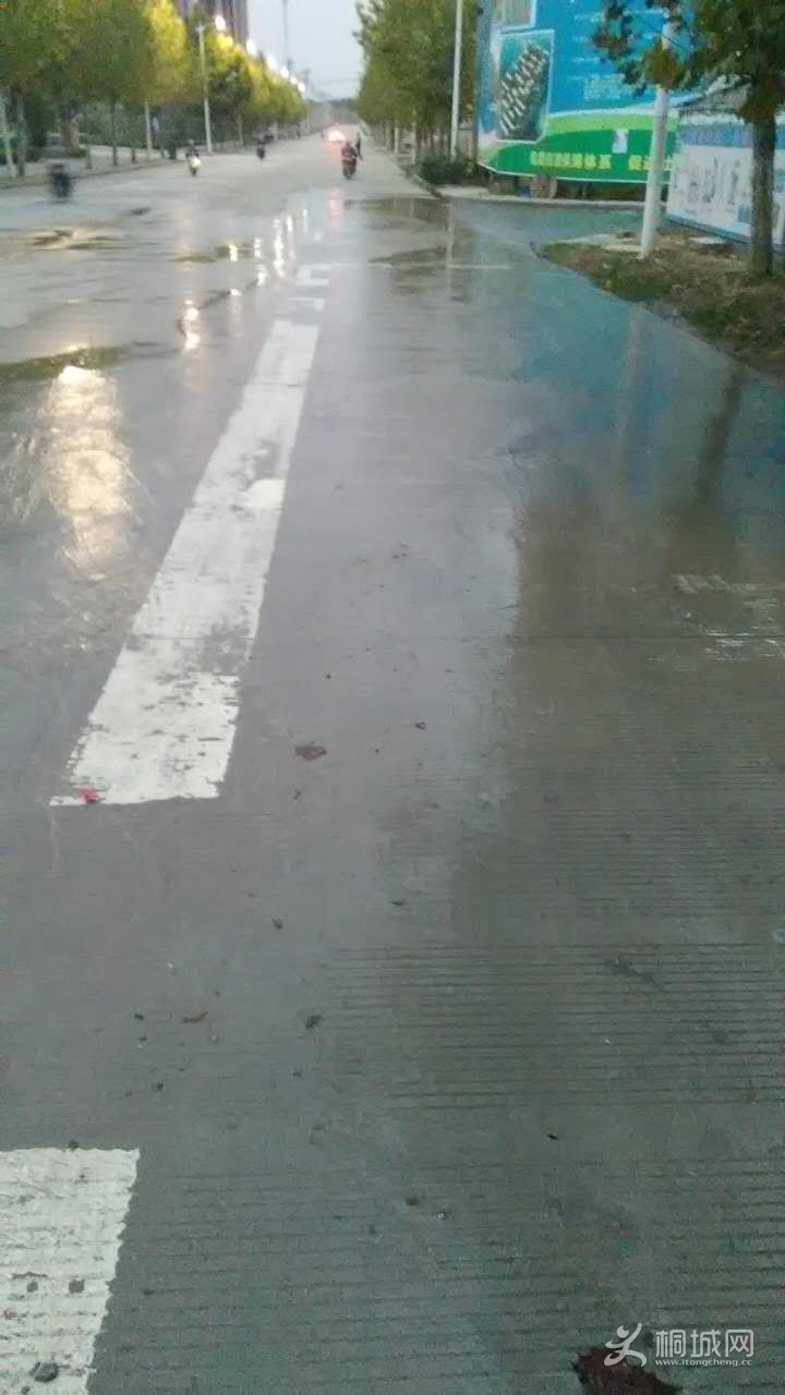 502386244883274854.jpg