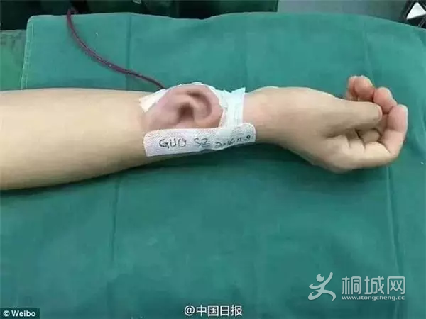 QQ图片20161116153122.png