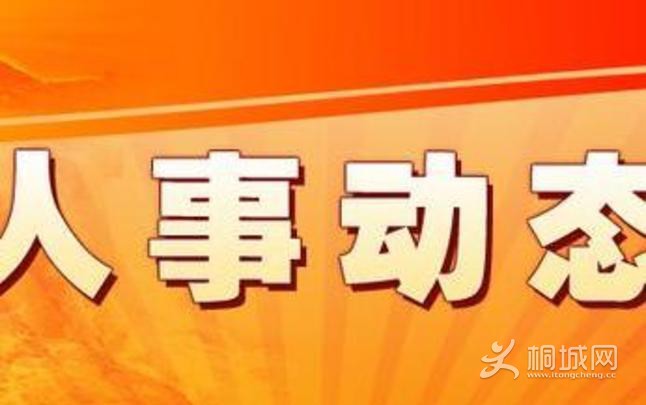 QQͼƬ20161130184751.jpg