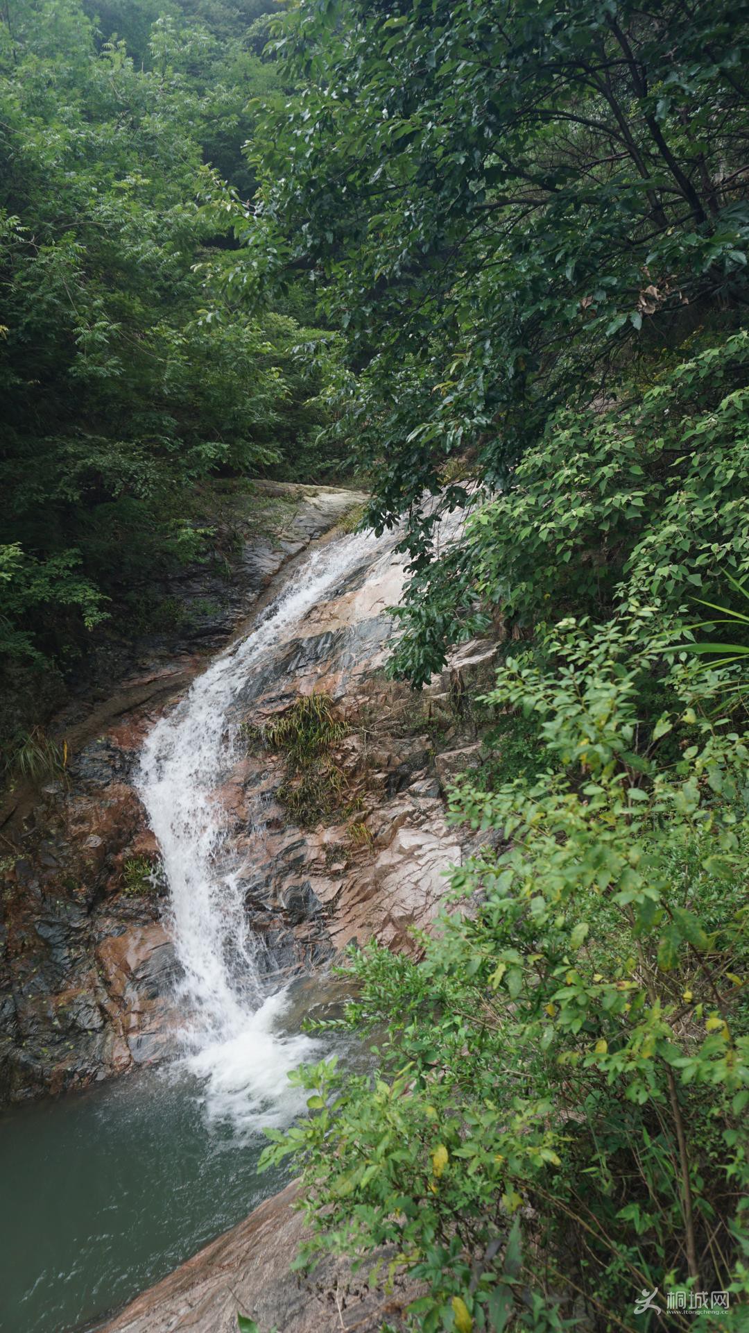 DSC00337.JPG