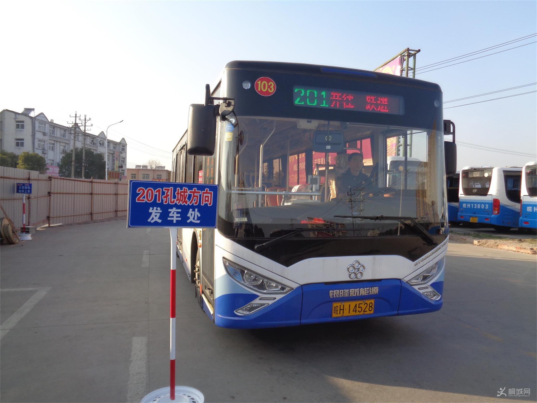 DSC01321(2)(2).jpg