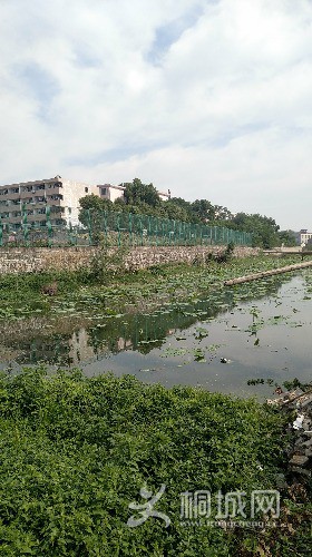 IMG_20170527_085358.jpg