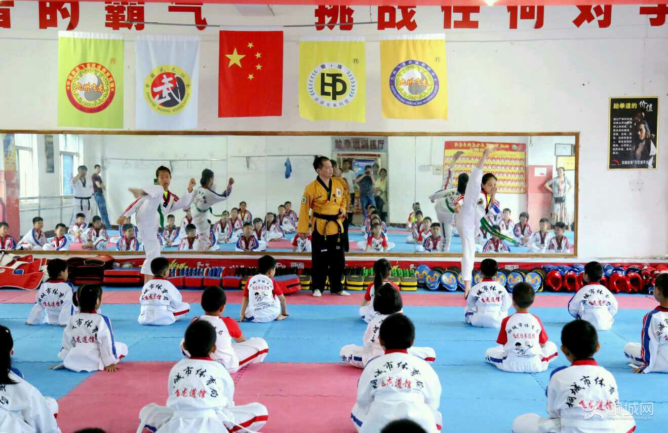 S233D22x3DLH.jpg