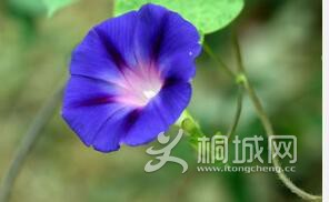 IE4X(MN2UHHGQN[1OH49Q%G.jpg